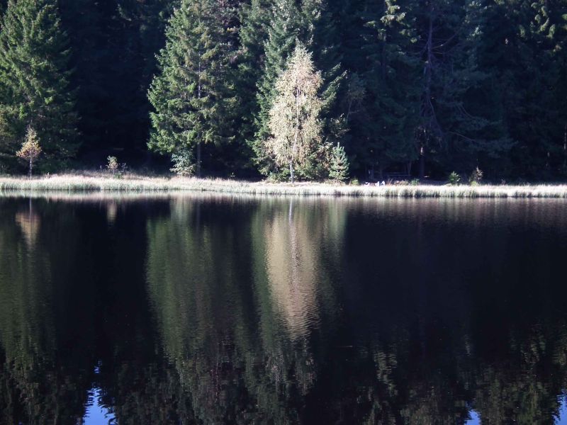 vogtlandsee.jpg